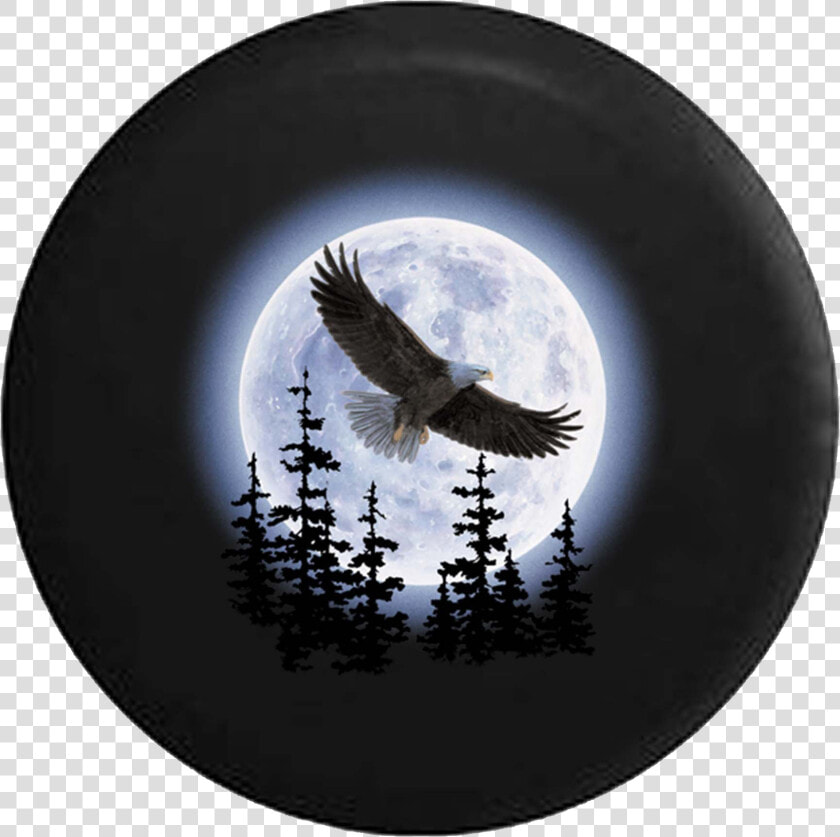 Soaring Eagle Spare Tire Cover   Painting Of Eagles  HD Png DownloadTransparent PNG