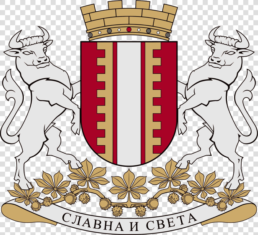 Coat Of Arms Of Banja Luka 2015   Protonamesnik Zoran Pajkanovic Novi Grb Banjaluke  HD Png DownloadTransparent PNG