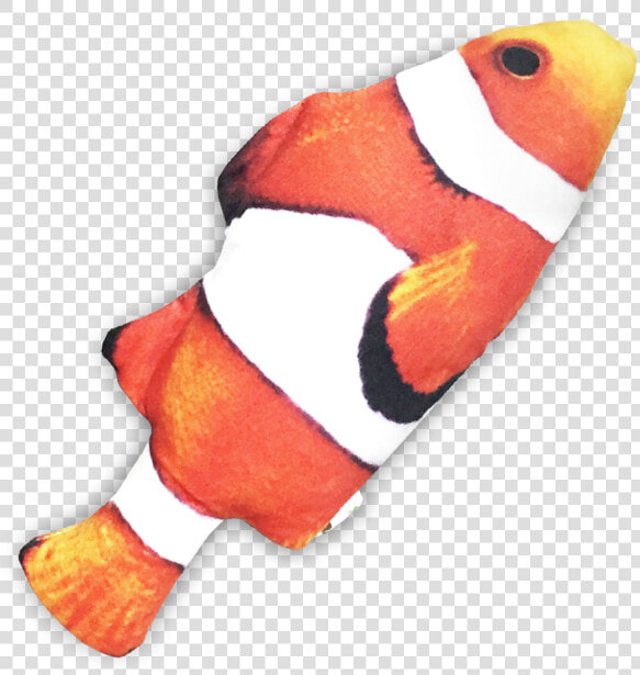 Seafood Cuddle Fish Data Rimg Lazy Data Rimg   Coral Reef Fish  HD Png DownloadTransparent PNG