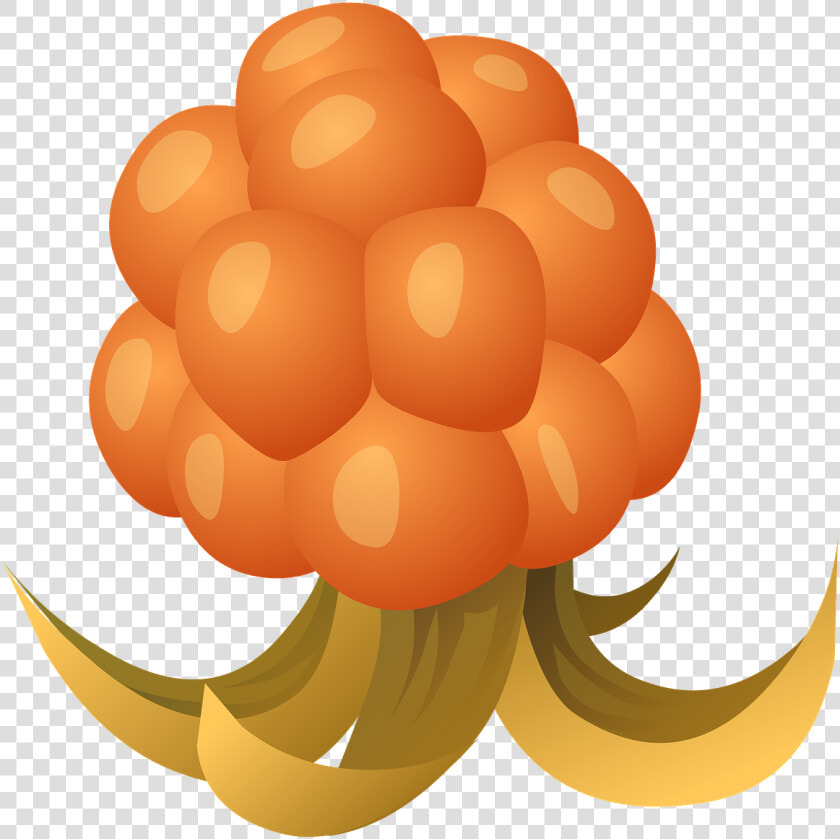 Cloudberry Clipart  HD Png DownloadTransparent PNG