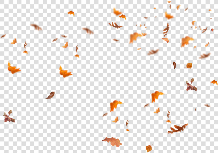 Falling Leaves Png   Transparent Fall Leaves Overlay  Png DownloadTransparent PNG