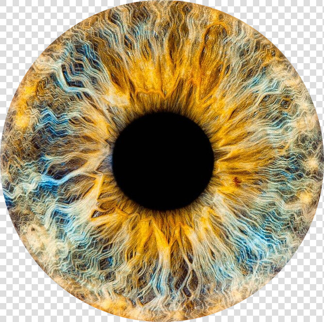 Transparent Brown Eye Png   Eye Lens Png Hd Download  Png DownloadTransparent PNG