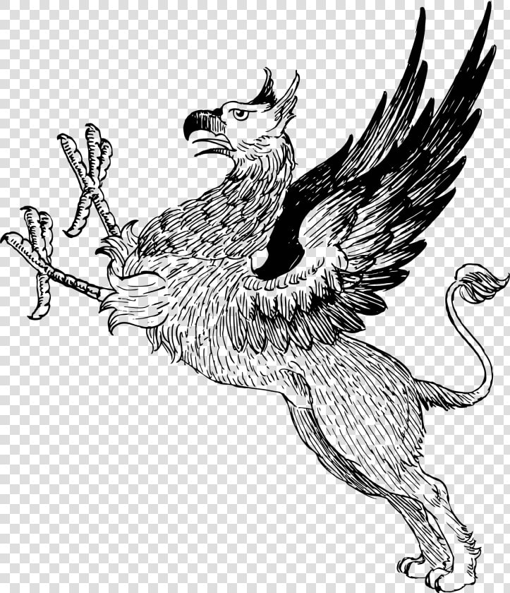 Vintage Griffin Line Art   Mythical Creature Clip Art  HD Png DownloadTransparent PNG