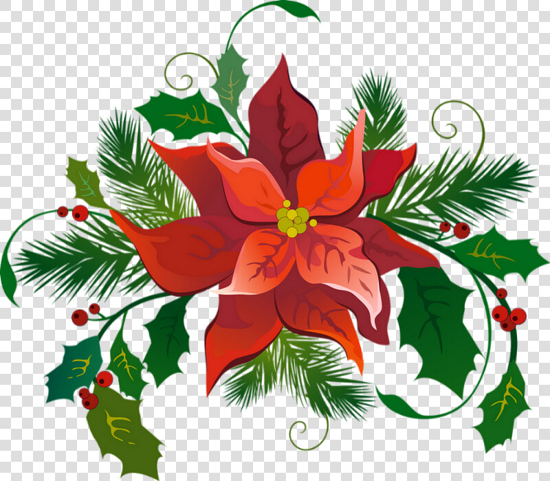 ❄️ Tube Noël  Poinsettia Png   Poinsettia De Noël Clipart  Transparent PngTransparent PNG