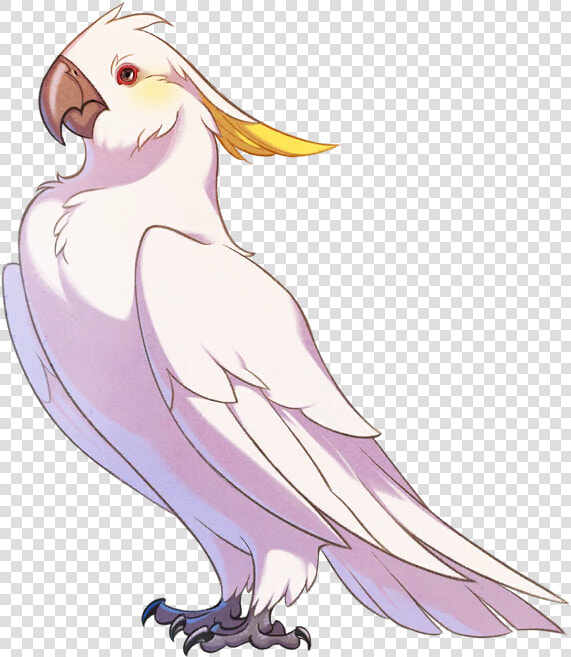 The Arcana Wiki   Cockatiel  HD Png DownloadTransparent PNG