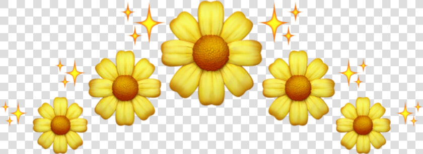  crown  flower  yellow  corona  flor  amarillo  margarita   Emoji De Margarita Flor Png  Transparent PngTransparent PNG