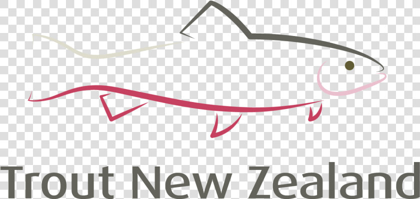 Tnz Web Logo  HD Png DownloadTransparent PNG