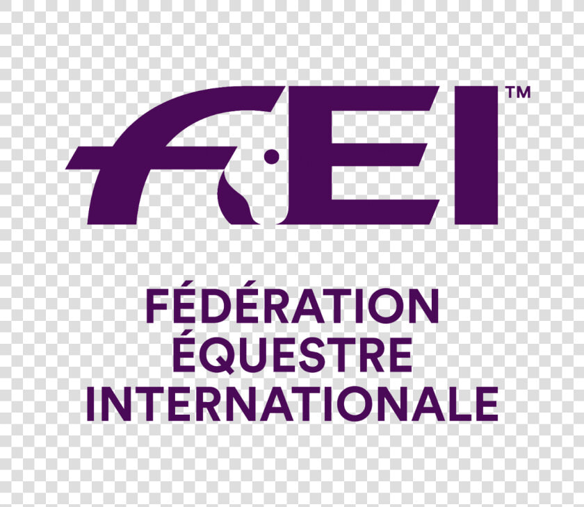 Fei Logo Png  Transparent PngTransparent PNG