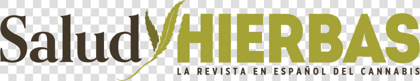 Salud Y Hierbas   Graphic Design  HD Png DownloadTransparent PNG