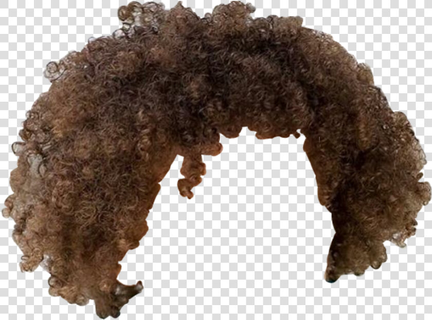  afro  hair  brown  curls   Bob Ross Hair Png  Transparent PngTransparent PNG