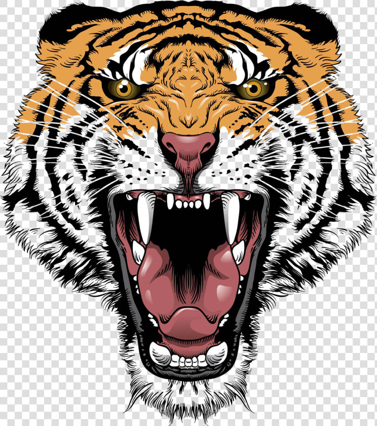 Tiger Lion Roar Big Cat Head  HD Png DownloadTransparent PNG