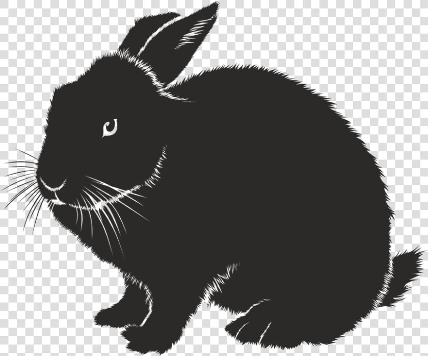 Coelho  Silhueta  Preto  Forma Isolada  Animal  Sombra   Rabbit Eye Silhouette  HD Png DownloadTransparent PNG