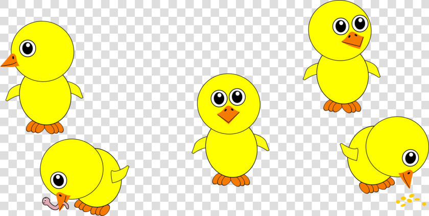 Transparent Chicken Png Cartoon   Chicks Cartoon  Png DownloadTransparent PNG