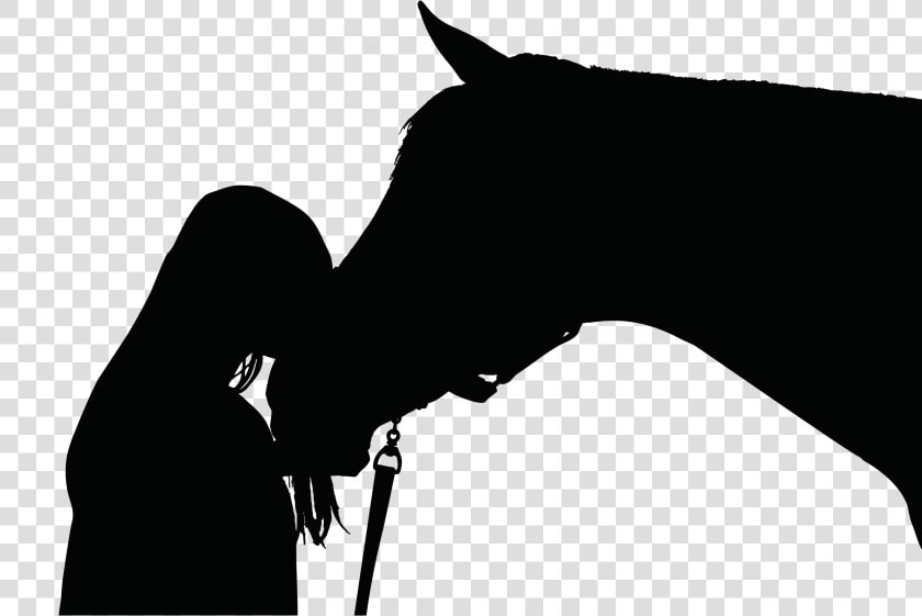 Girl And Horse Silhouette Clip Arts   Horse And Human Silhouette  HD Png DownloadTransparent PNG