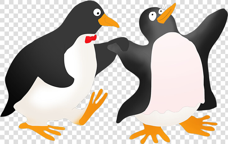 Dancing Penguin Couple   Adã©lie Penguin  HD Png DownloadTransparent PNG