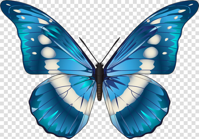 Blue Butterfly Png   Blue Morpho Butterfly Clip Art  Transparent PngTransparent PNG