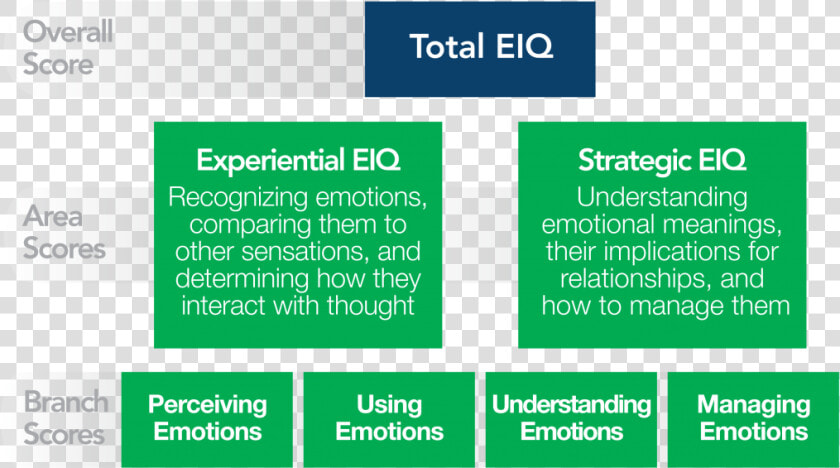 Mayer Salovey And Caruso Emotional Intelligence  HD Png DownloadTransparent PNG