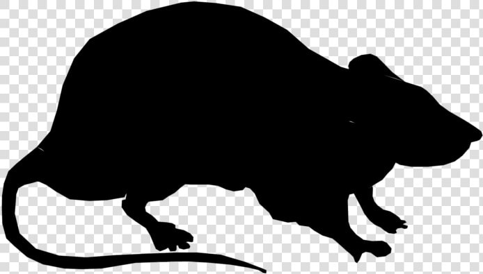 Laboratory Rat Silhouette Black Rat Clip Art   Rat Silhouette  HD Png DownloadTransparent PNG