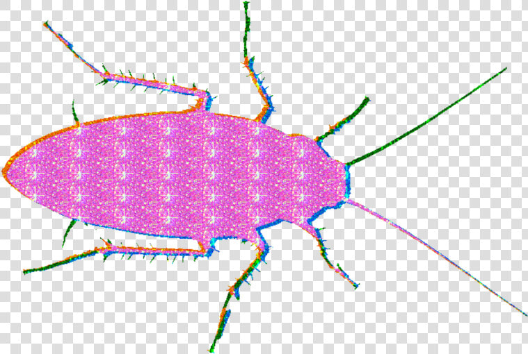  roach  glitter  mine  lol  glitterroach  edgy  glitteredit   Ground Beetle  HD Png DownloadTransparent PNG