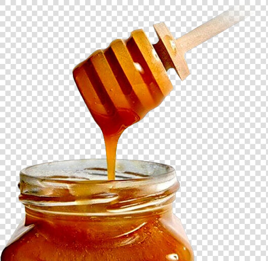 Pitt Program Council   Danger Of Honey During Pregnancy  HD Png DownloadTransparent PNG