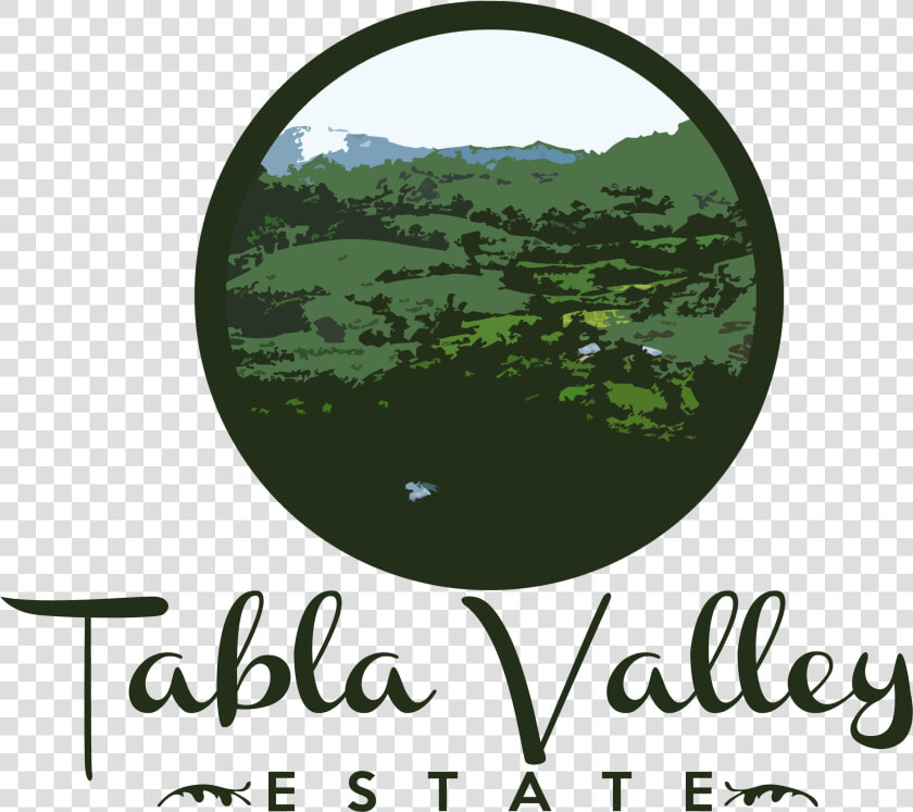 Tabla Valley Estate   Poster  HD Png DownloadTransparent PNG