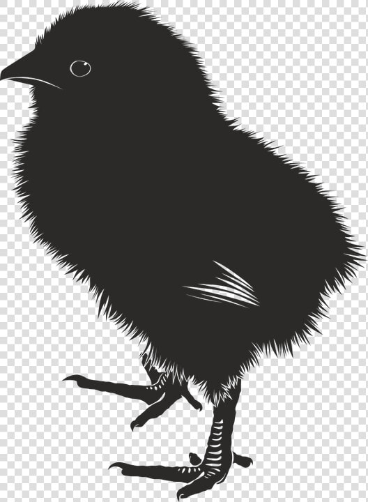 Chick  Animal  Farm  Baby  Silhouette   Baby Chick Silhouette  HD Png DownloadTransparent PNG