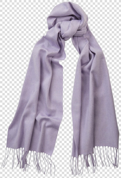 Wisteria Scarf Color  HD Png DownloadTransparent PNG