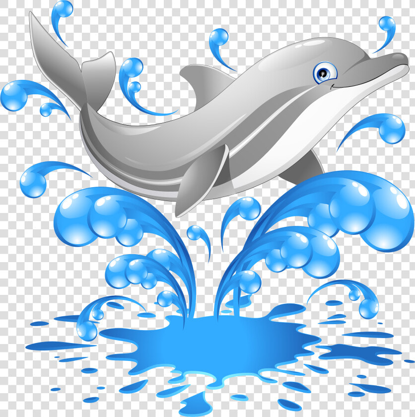 Dolphins Clipart Dolphin Tale   Dolphin Png Clipart  Transparent PngTransparent PNG