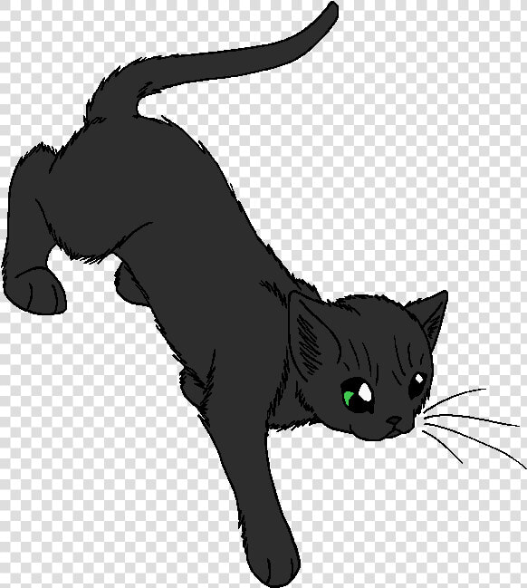 Night Of No Stars   Warrior Cats Night Of No Stars  HD Png DownloadTransparent PNG