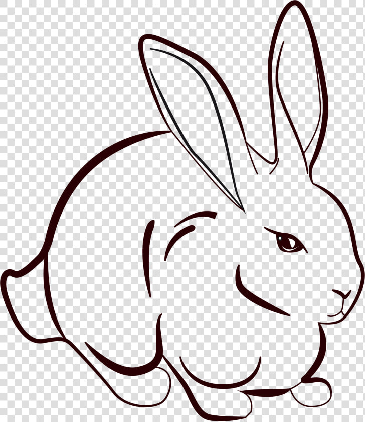 Drawing Bunnies Little Bunny Transparent Png Clipart   Art Drawing Of Rabbit  Png DownloadTransparent PNG