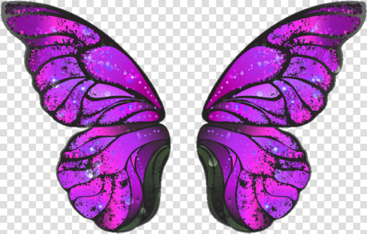  fantasy  fairies  wings   Morpho  HD Png DownloadTransparent PNG