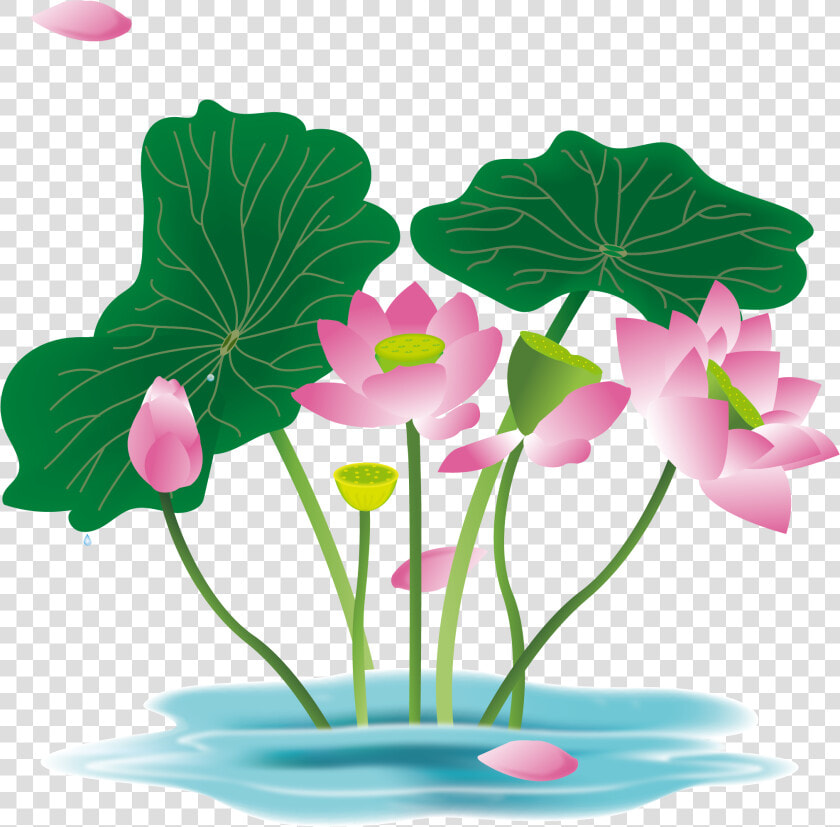 Hand Painted Flower Plant Water Lily Png And Vector  Transparent PngTransparent PNG