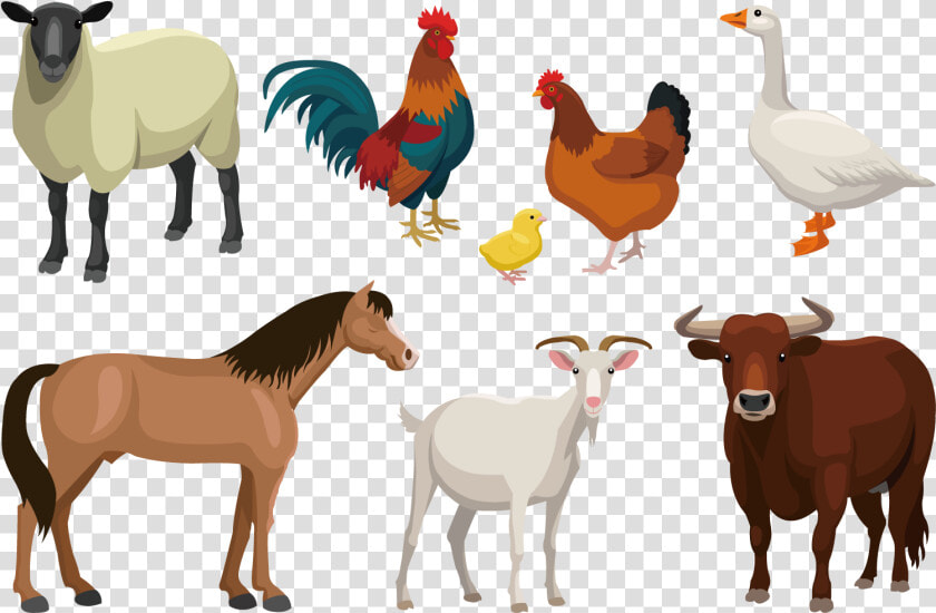 1500 X 1500   Farm Animals Vector Png  Transparent PngTransparent PNG