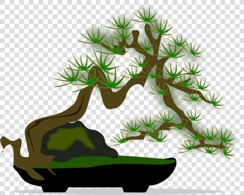 Bonsai 04   Bonsai Tree Clip Art  HD Png DownloadTransparent PNG