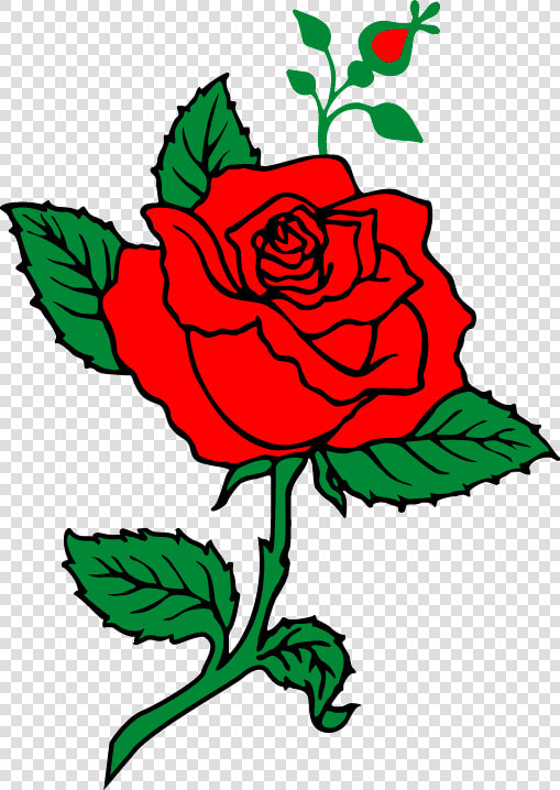 Rose Flower Png Illustrator  Transparent PngTransparent PNG