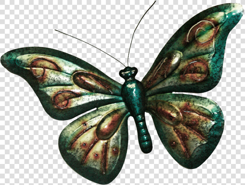 Clip Art Butterfly Nymphalidae Danaus   Speckled Wood  butterfly  HD Png DownloadTransparent PNG