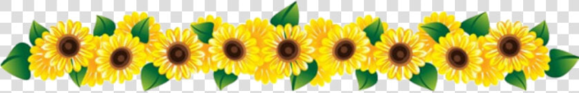 Flower Clipart Row Ftestickers   Row Of Flowers Png  Transparent PngTransparent PNG