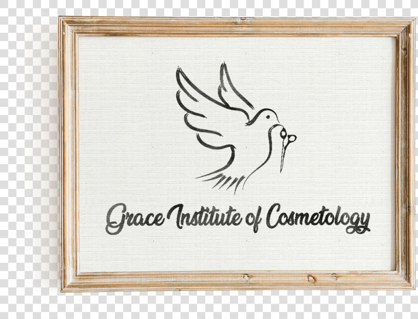 Grace Institute Of Cosmetology   Plywood  HD Png DownloadTransparent PNG