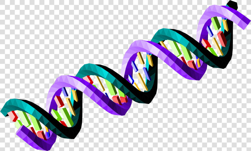 Ds Dna Strand Transparent Clipart   Png Download   Dna Strand Transparent Background  Png DownloadTransparent PNG