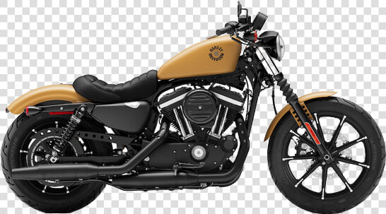 Sportster   Harley Davidson 883 Iron 2019  HD Png DownloadTransparent PNG