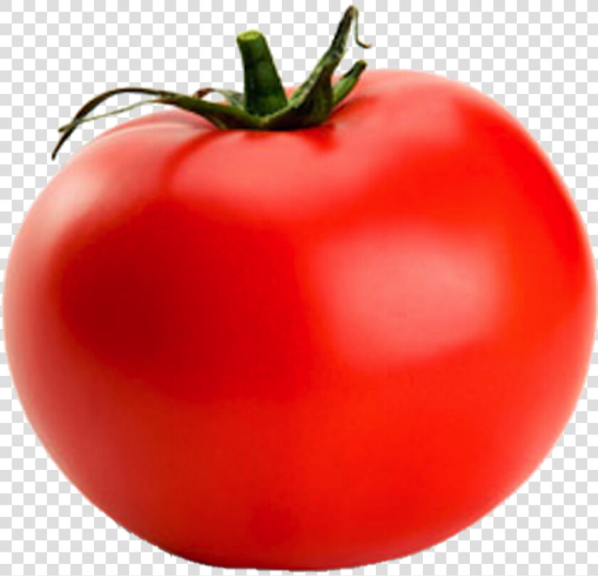 Tomato Png   Transparent Tomato  Png DownloadTransparent PNG