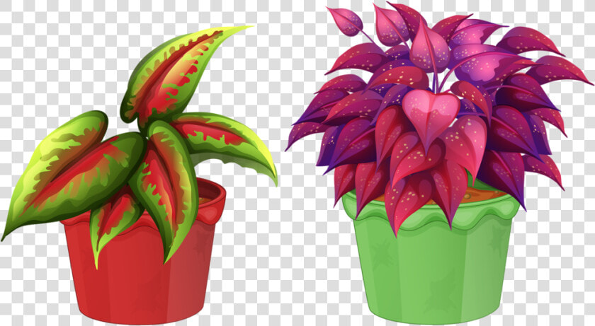 8 Garden Clipart  Flower Pots  Flowers  Views Album    Flower In Pot Png  Transparent PngTransparent PNG