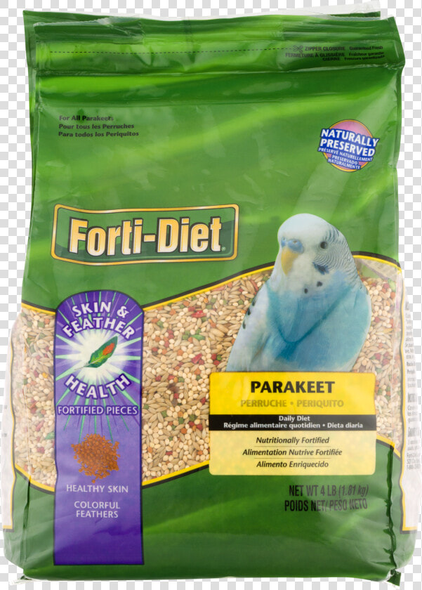 Budgie  HD Png DownloadTransparent PNG