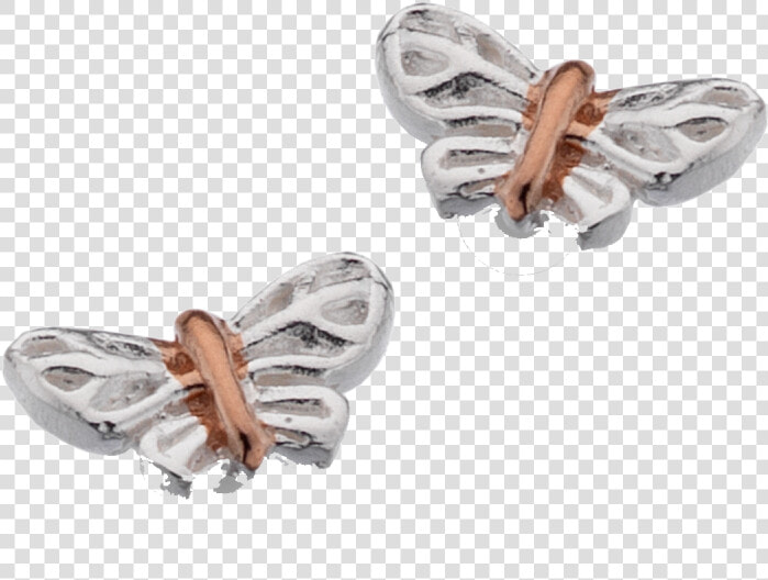 Silver Butterfly Studs With Rose Gold By Sea Gems   Zebra Swallowtail  HD Png DownloadTransparent PNG