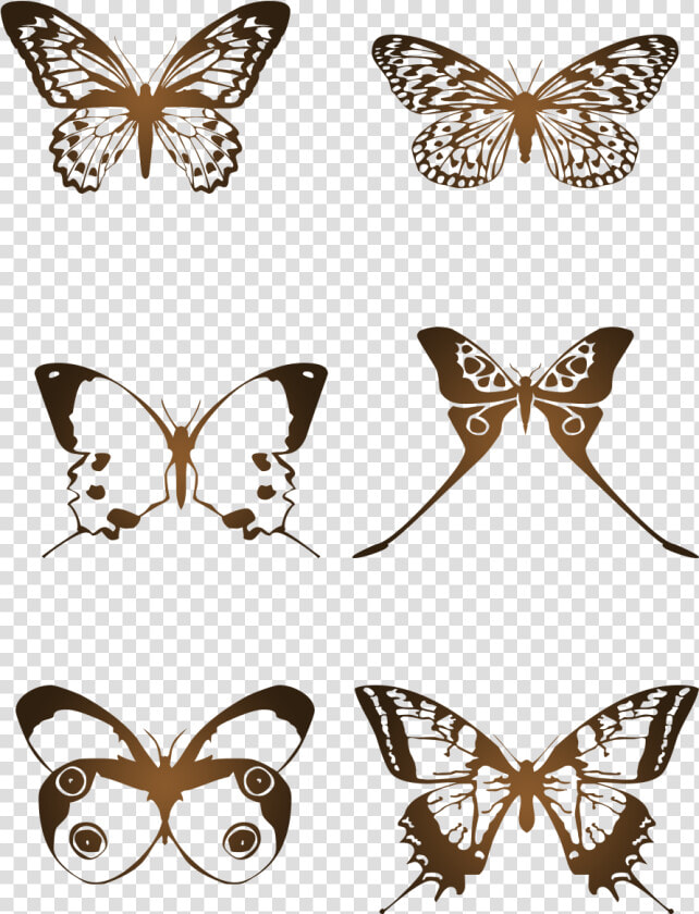 Transparent Mariposas Volando Png   Butterfly  Png DownloadTransparent PNG