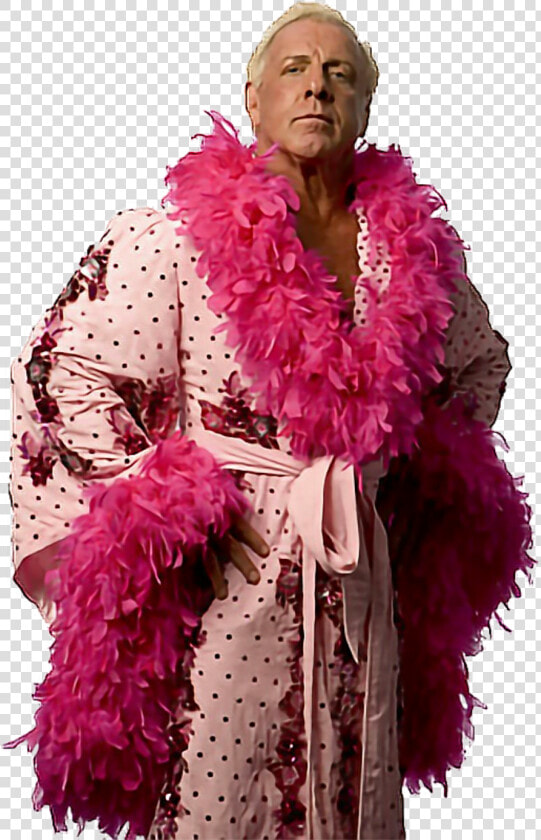  ricflair  wooooo  thenatureboy  wwe  wwestickers  wwefans   Ric Flair Funny Costume  HD Png DownloadTransparent PNG