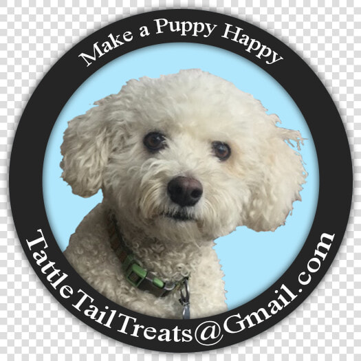 Tattle Tails   Toy Poodle  HD Png DownloadTransparent PNG