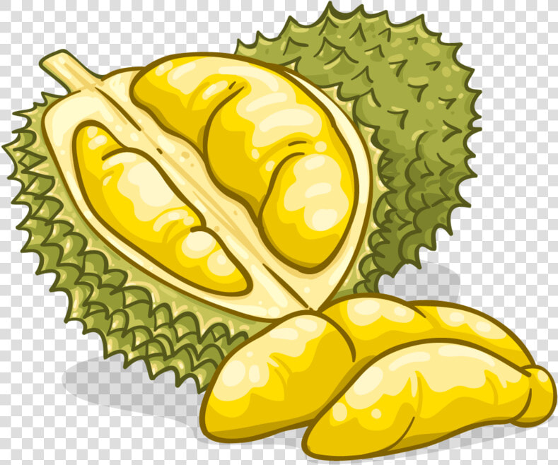 Durian   Durian Clipart Png  Transparent PngTransparent PNG