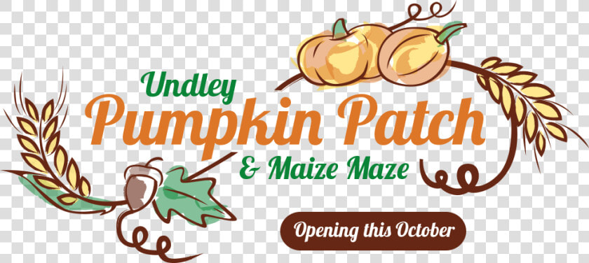 Transparent Maize Png   Undley Pumpkin Patch 2019  Png DownloadTransparent PNG