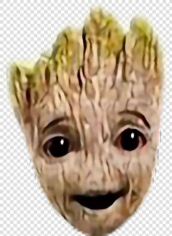  groot  babygroot  face  marvel  freetoedit  HD Png DownloadTransparent PNG